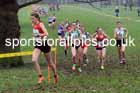 Junior Womens 2023 Northern Cross Country Champs., Witton Park, Blackburn. Photo: David T. Hewitson/Sports for All Pics